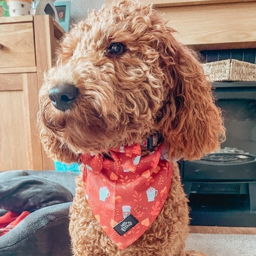 Bandana - Autumn Vibes
