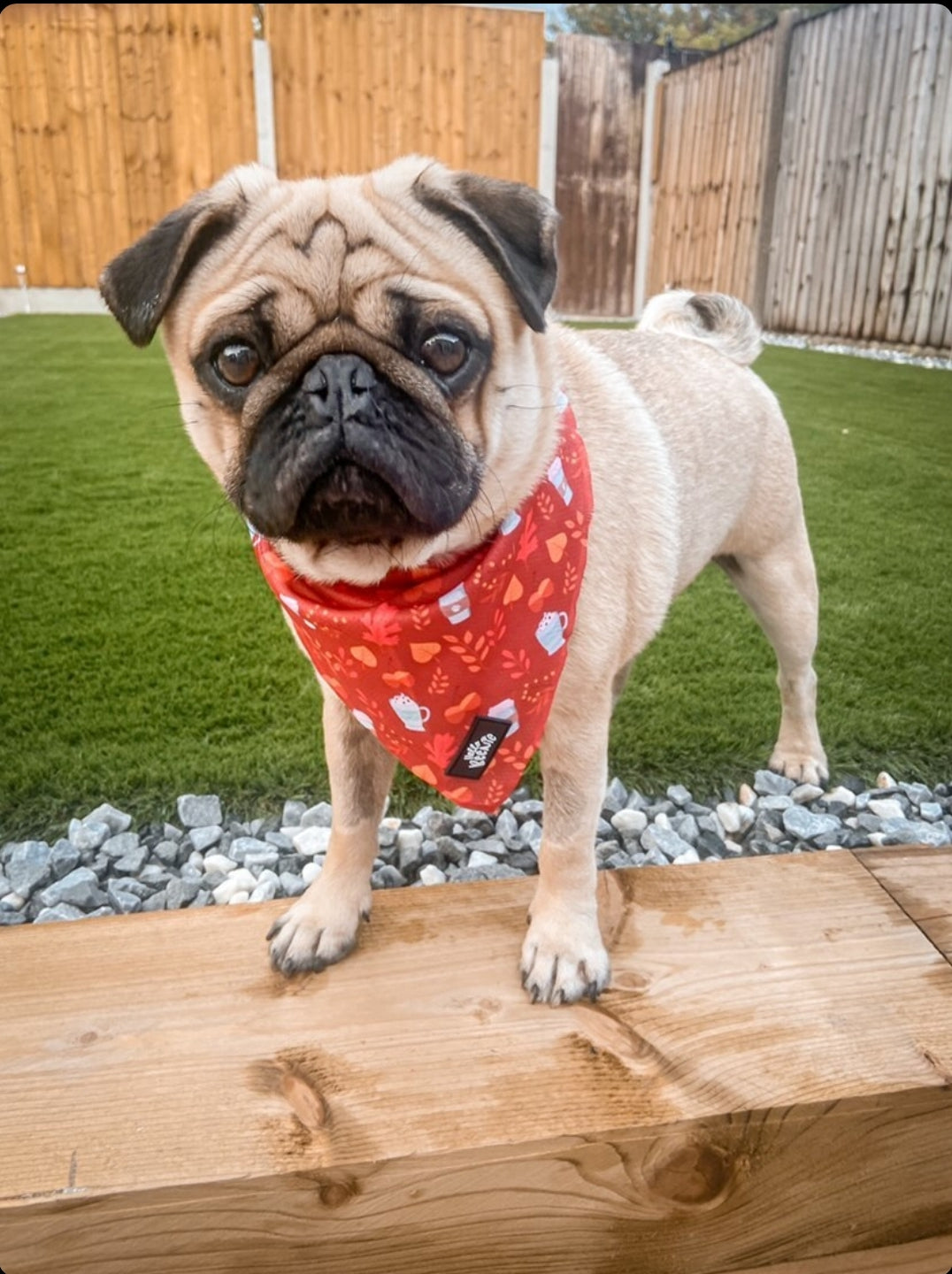Bandana - Autumn Vibes