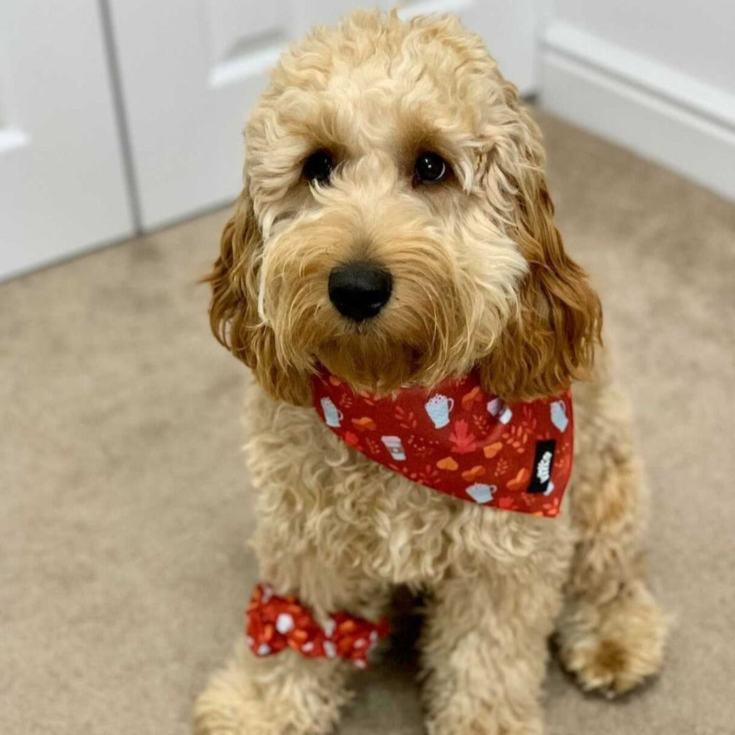 Bandana - Autumn Vibes