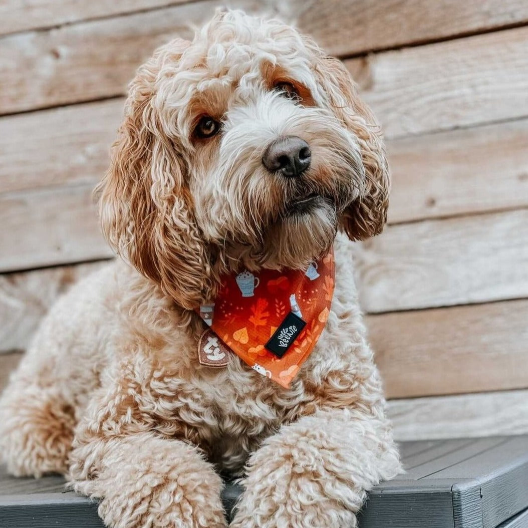 Bandana - Autumn Vibes