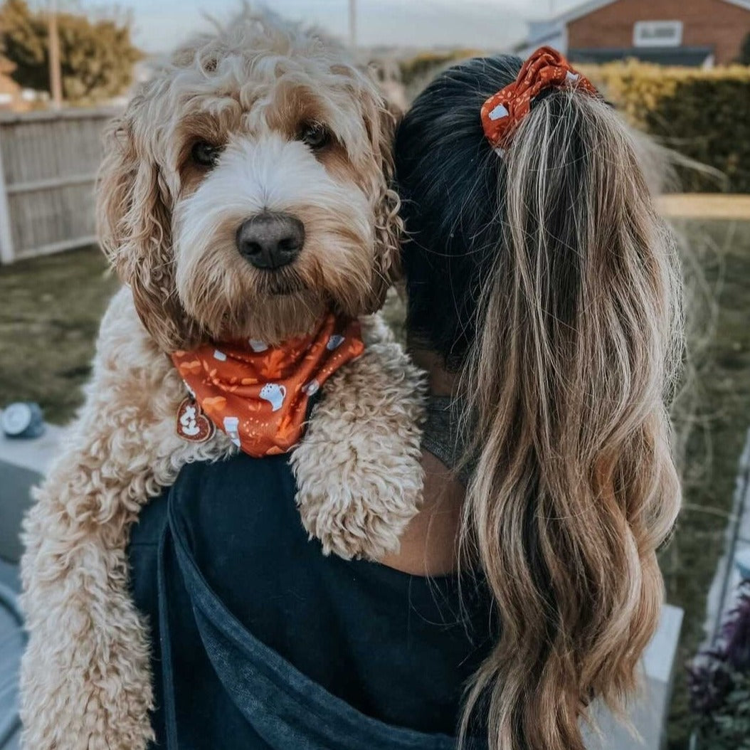 Scrunchie - Autumn Vibes