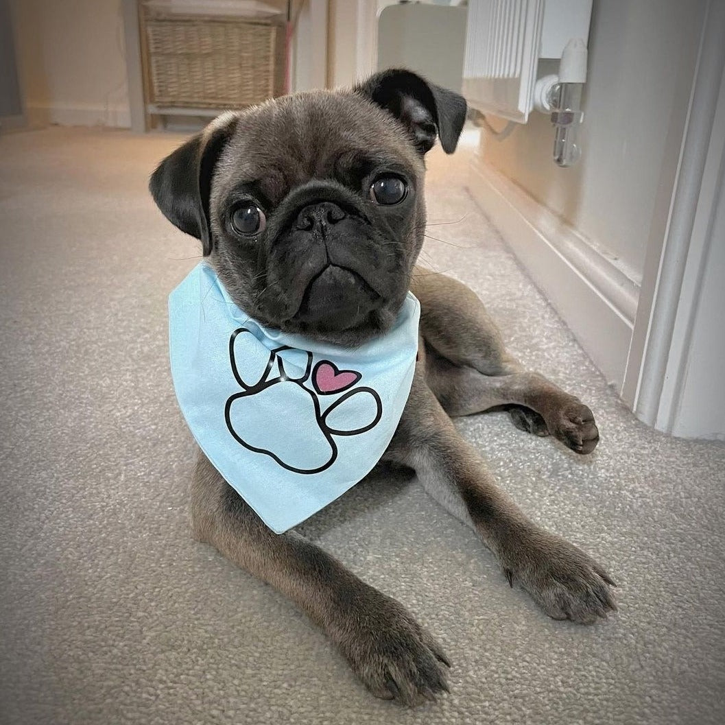 HB PAW bandana