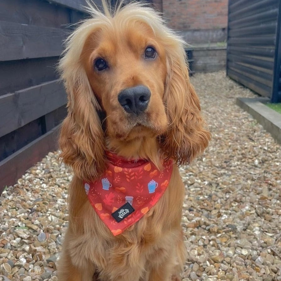 Bandana - Autumn Vibes