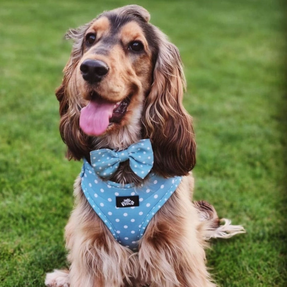 Adjustable Harness - Oh My Polka Dots