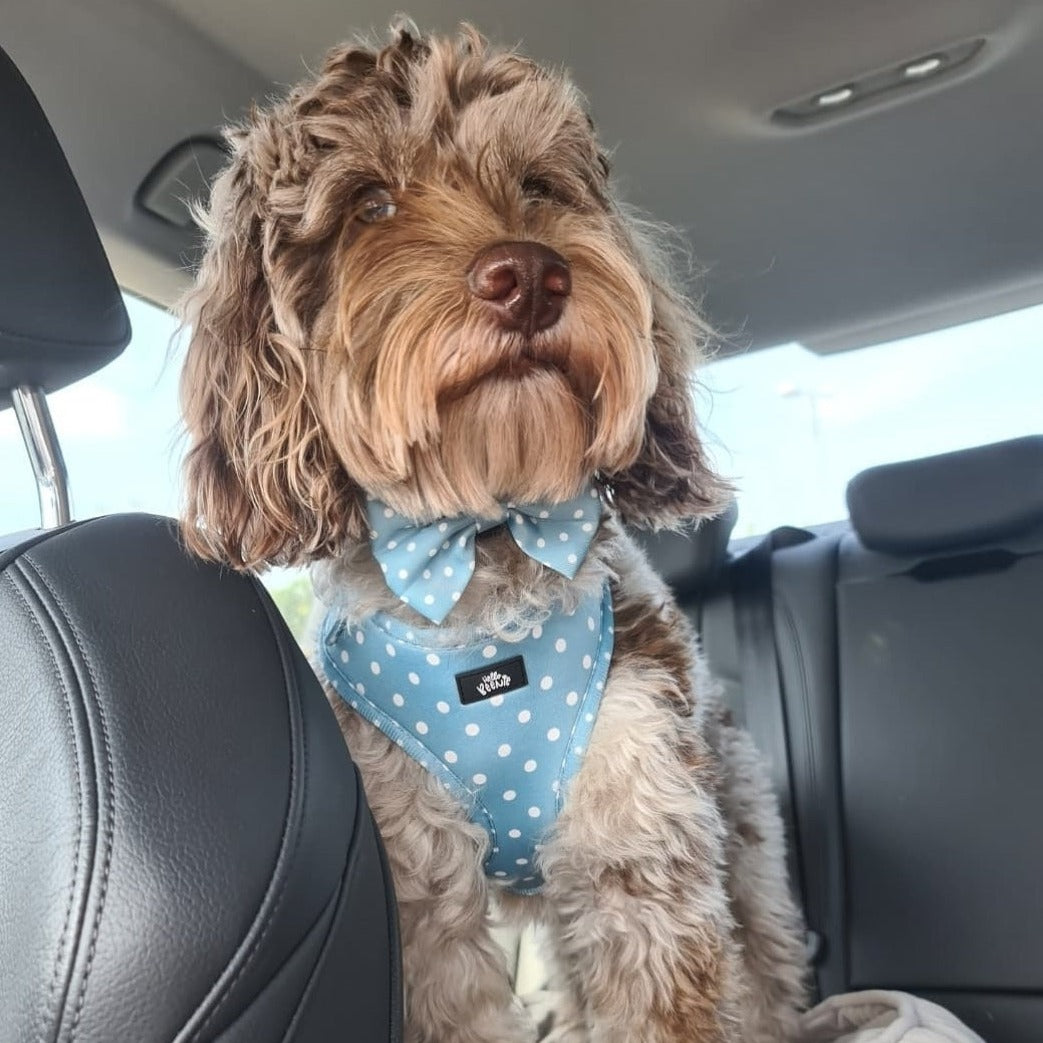 Adjustable Harness - Oh My Polka Dots