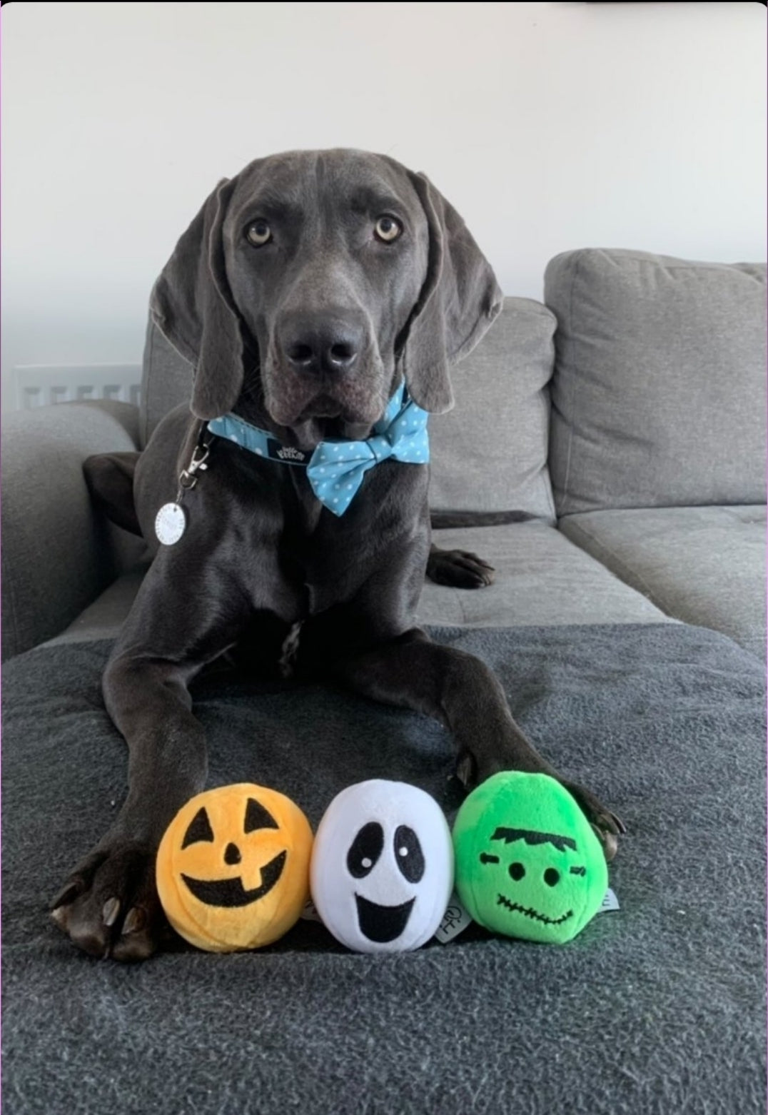 Midlee Pumpkin Plush Dog Ball