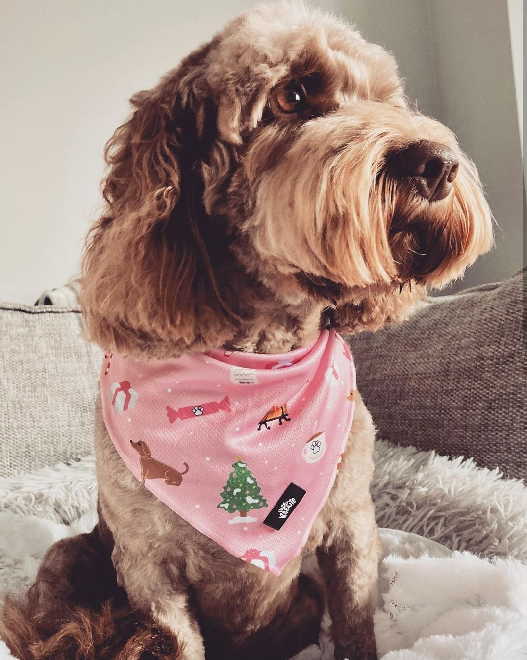 Bandana - Christmas Wishes - Pink