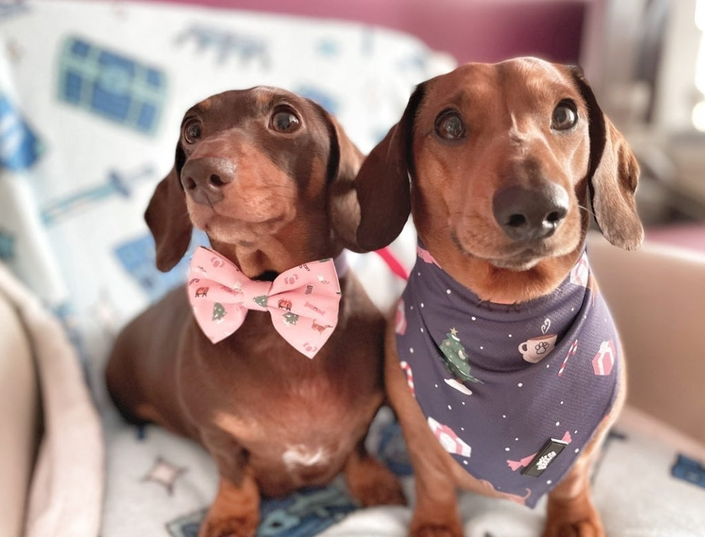 Bow - Christmas Wishes - Pink