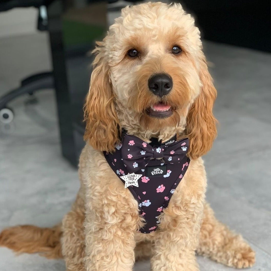 Adjustable Harness - Hello Beenie Paw