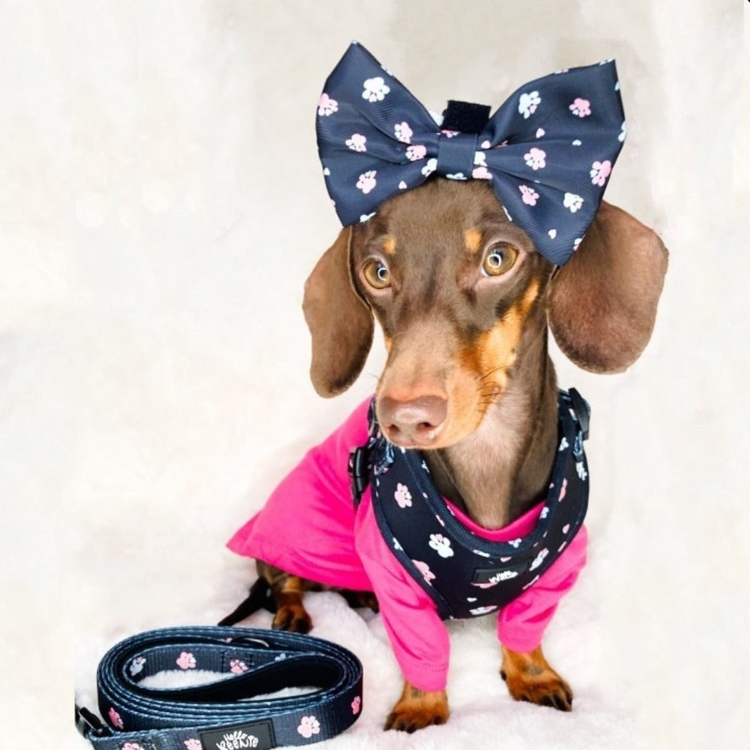 Bow - Hello Beenie Paw