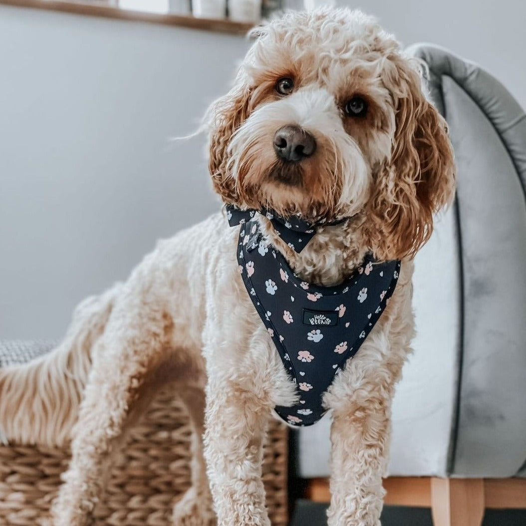 Adjustable Harness - Hello Beenie Paw