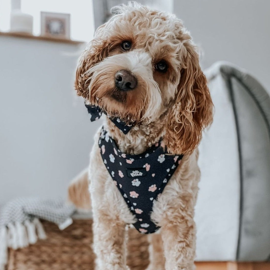 Adjustable Harness - Hello Beenie Paw