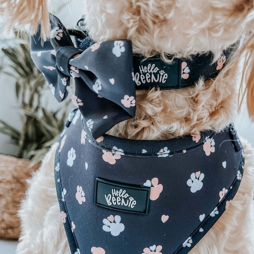 Collar - Hello Beenie Paw