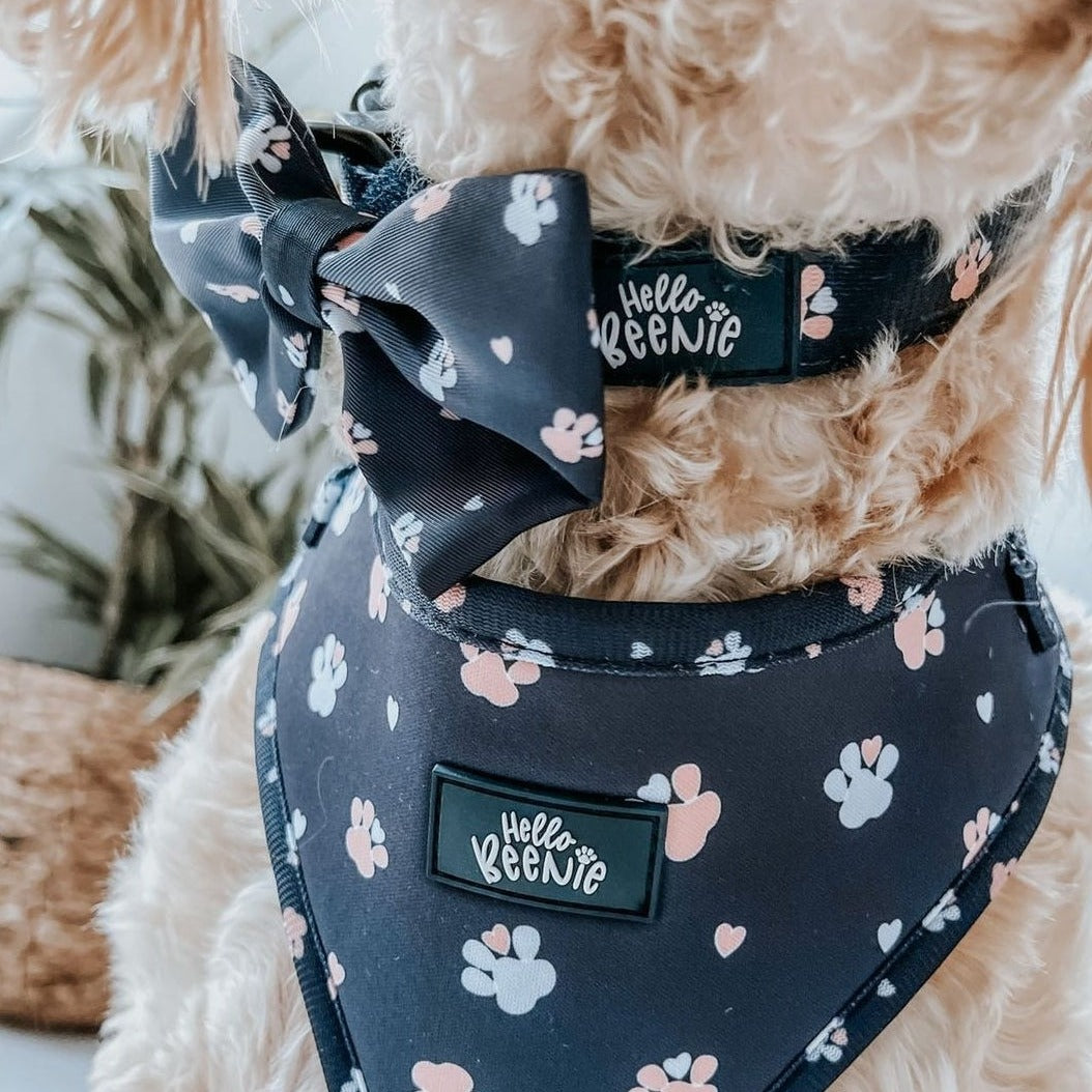 Bow - Hello Beenie Paw