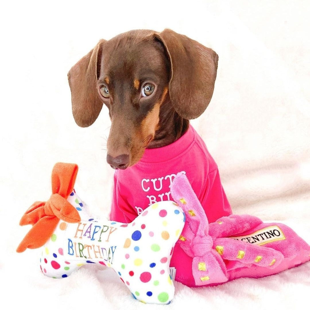 Haute Diggity Dog Happy Birthday Bone
