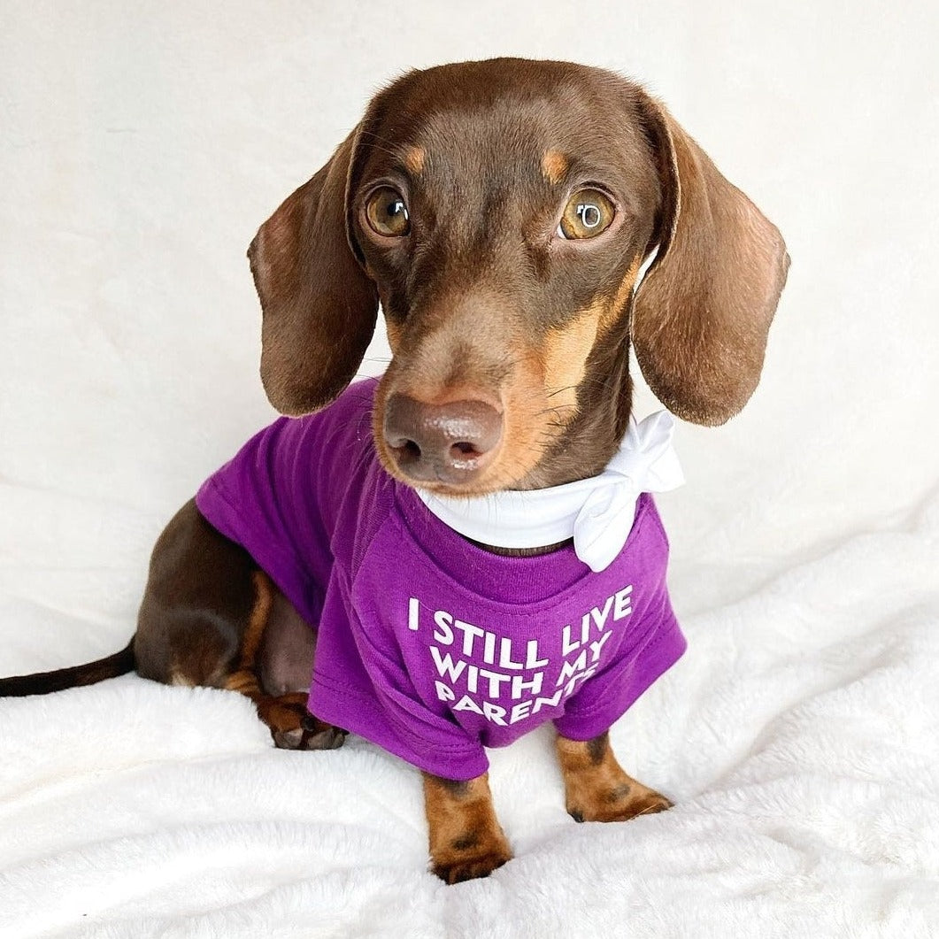Dog T-Shirt - I Still Live With My Parents Purple