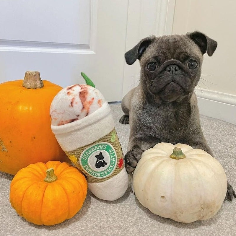 Haute Diggity Dog Pupkin Spice Latte Toy