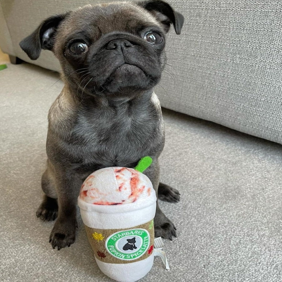 Haute Diggity Dog Pupkin Spice Latte Toy