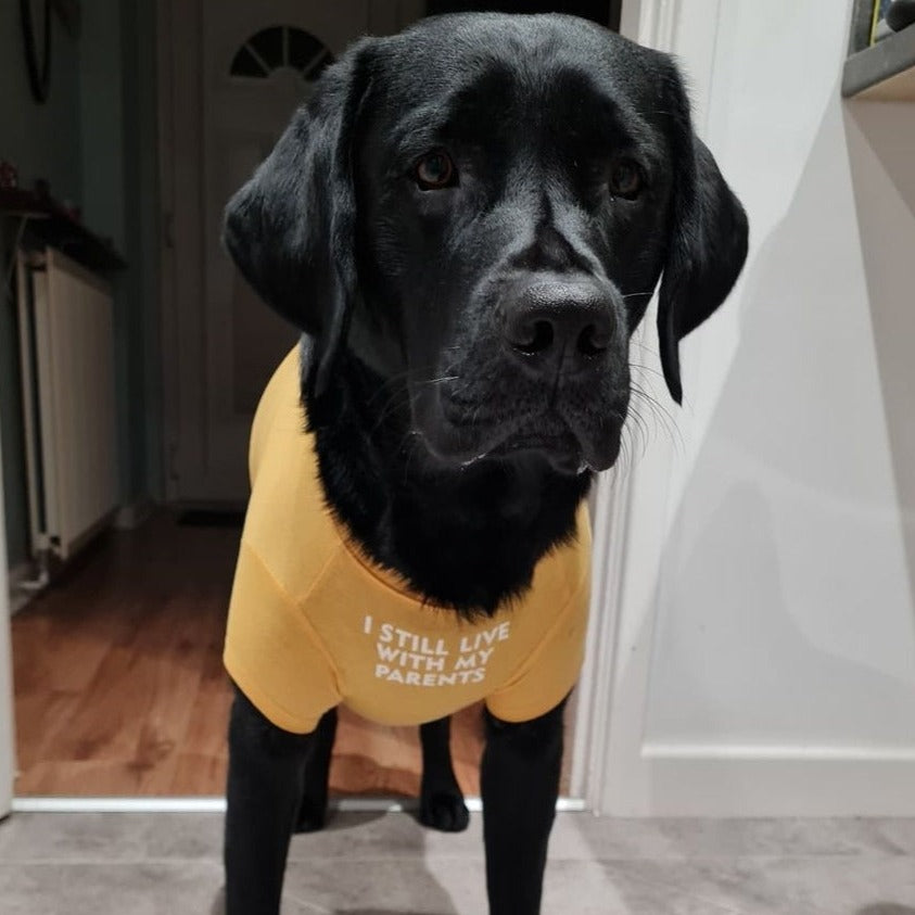Dog T-Shirt - I Still Live With My Parents Yellow