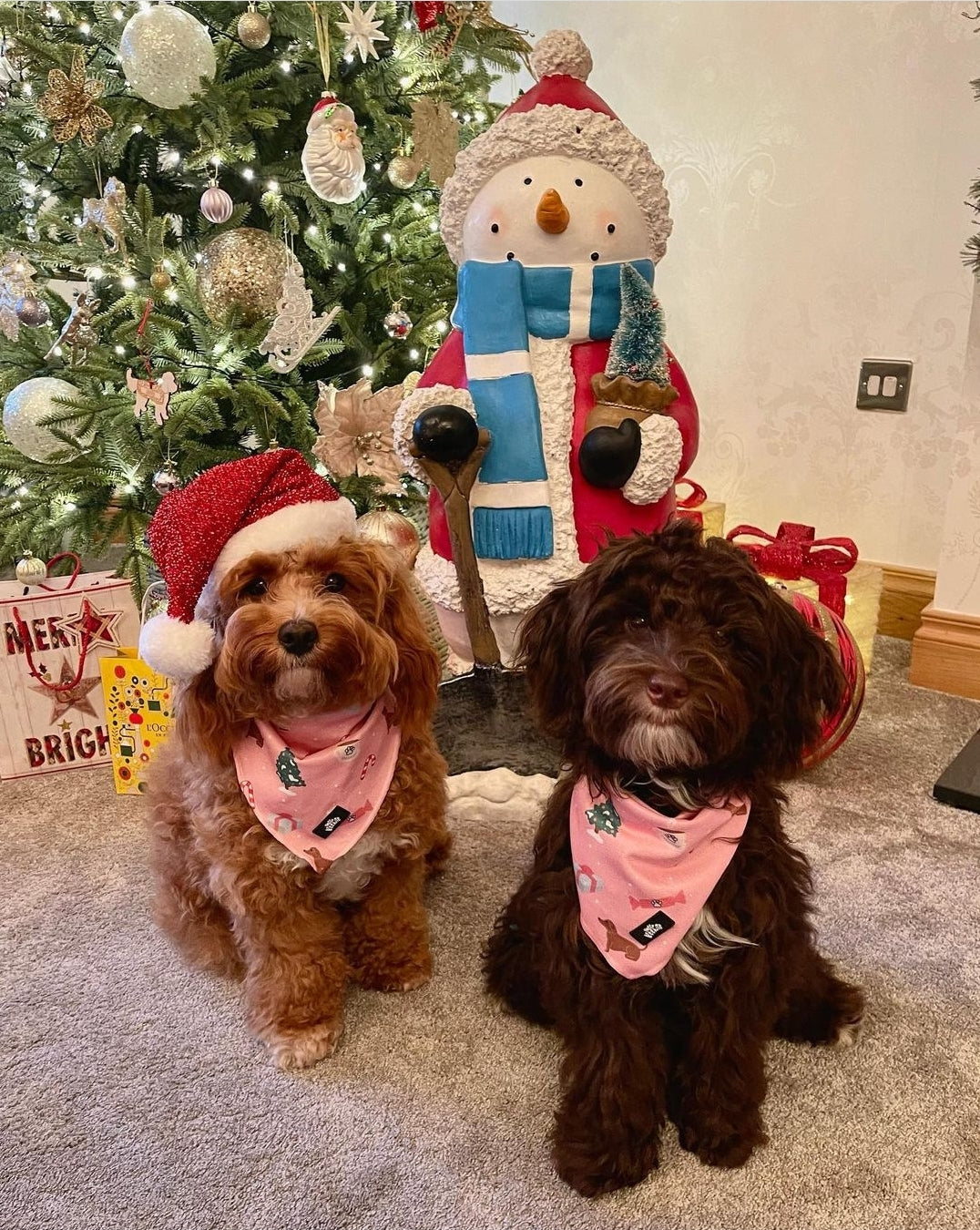 Bandana - Christmas Wishes - Pink