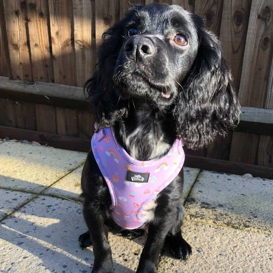 Adjustable Harness - Happiness