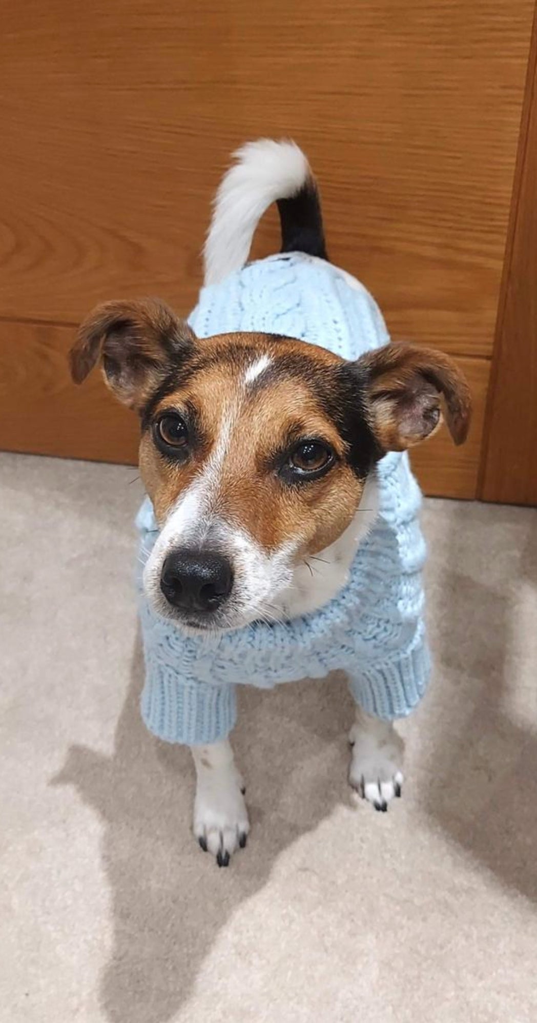 The Cosy Collection - Bubblegum Blue Knit