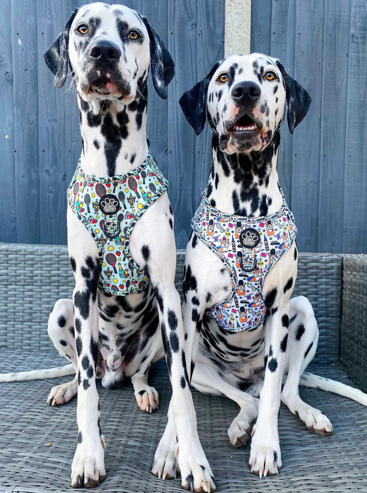 Adjustable Harness - Royal Paws Of London