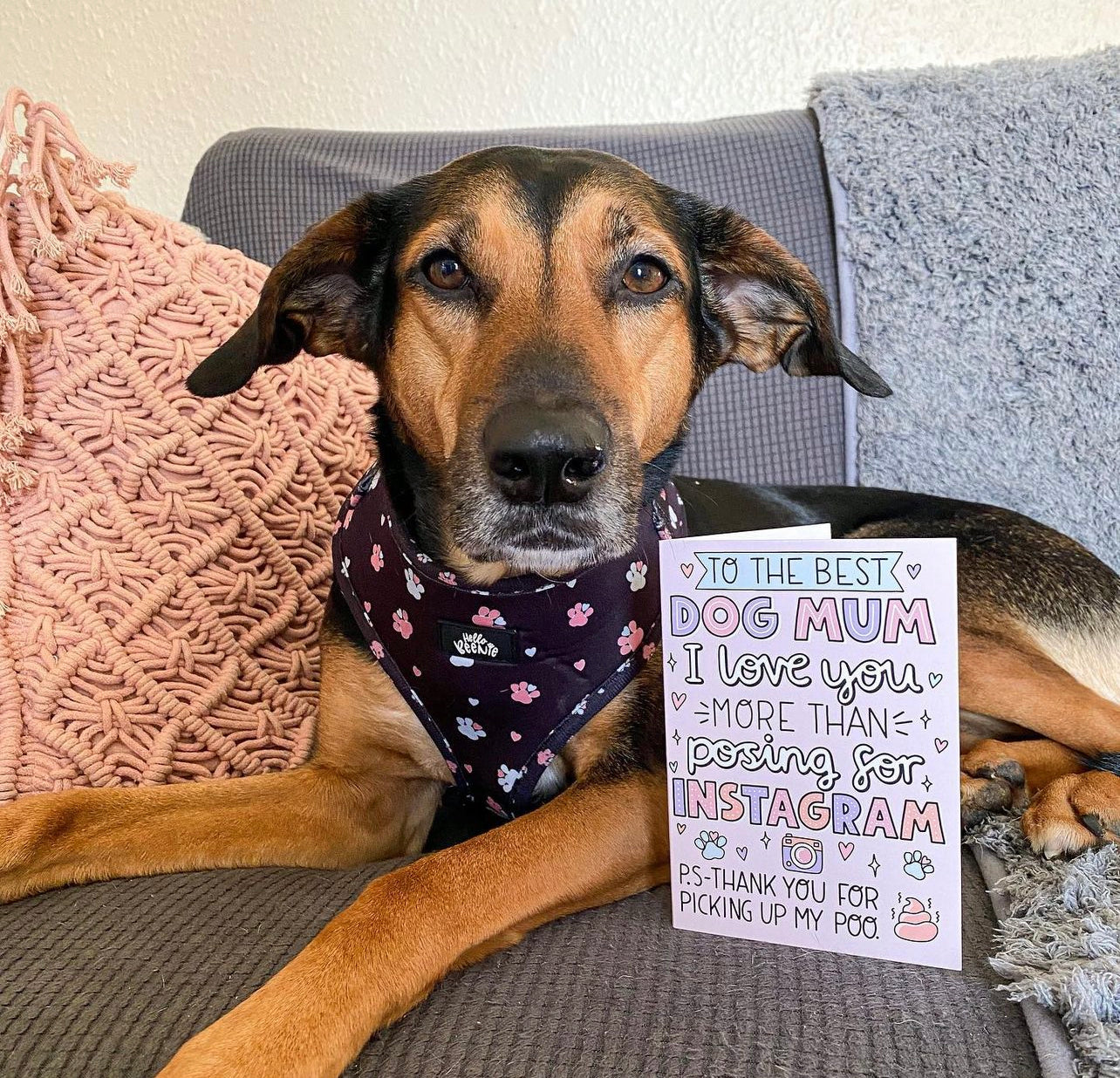 Card - Dog Mum