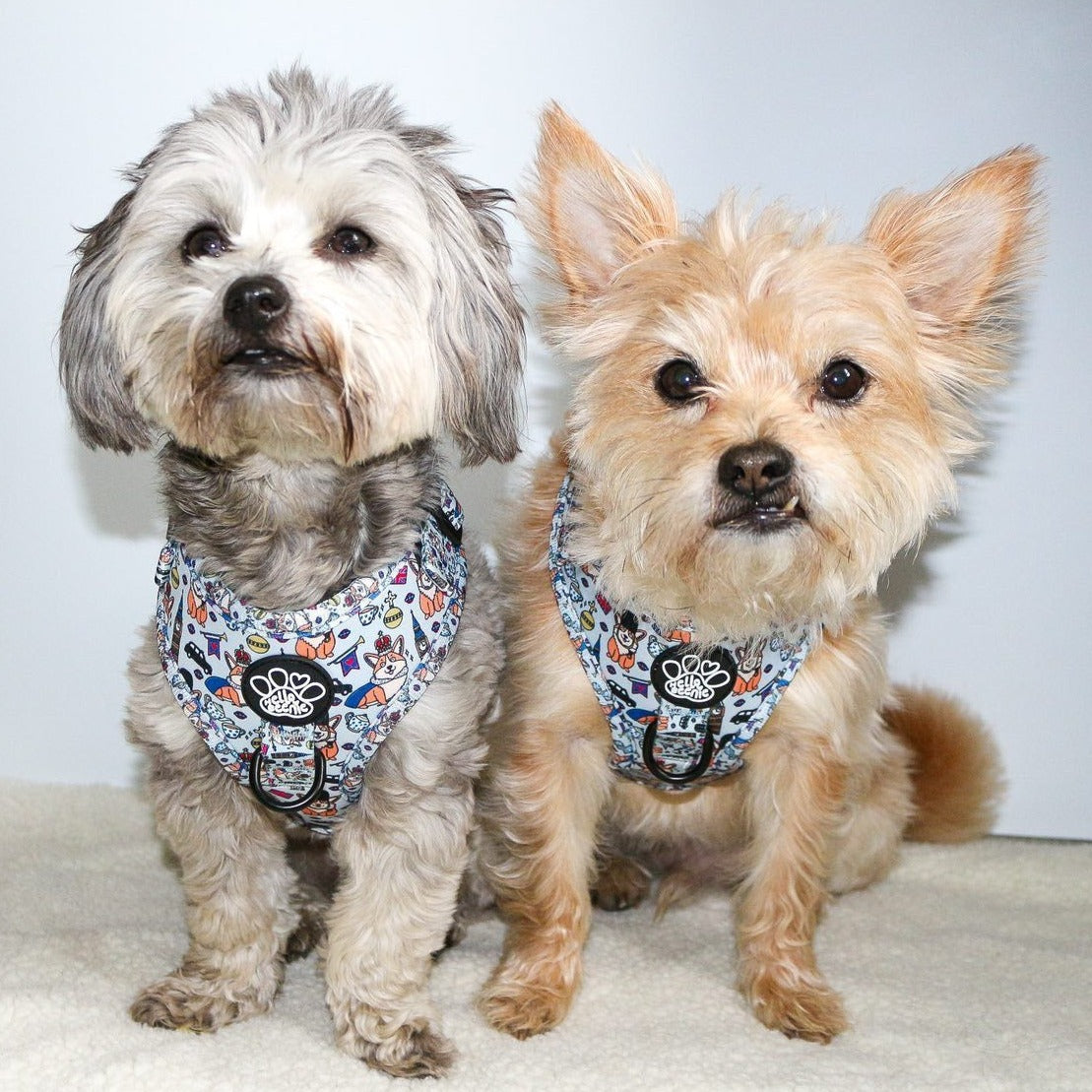 Adjustable Harness - Royal Paws Of London