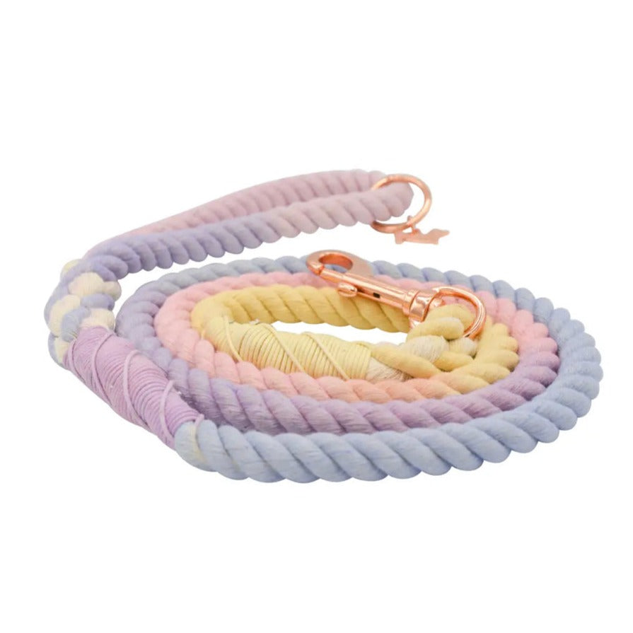 Ombré Rope Lead - Sweet Pea
