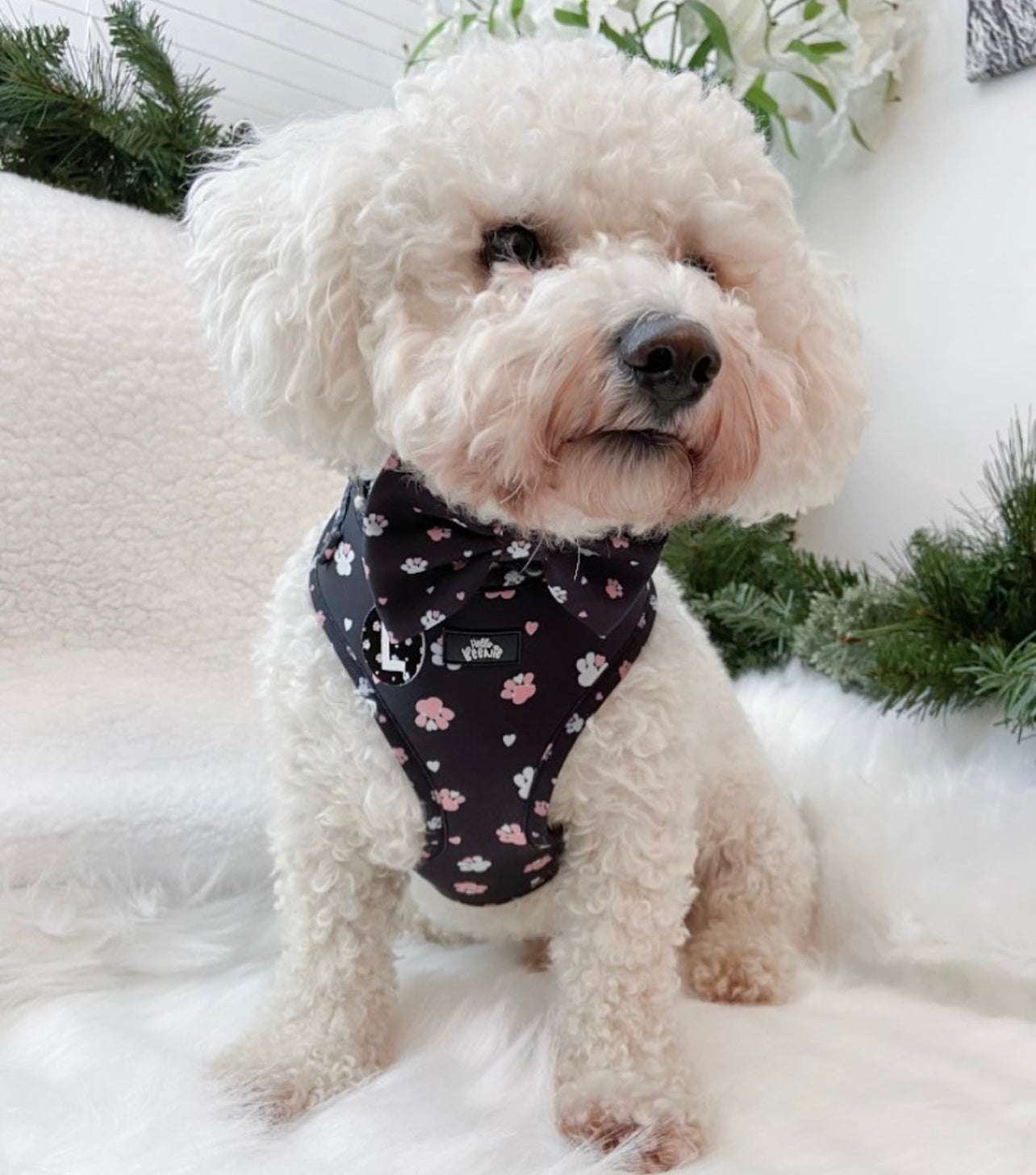 Adjustable Harness - Hello Beenie Paw