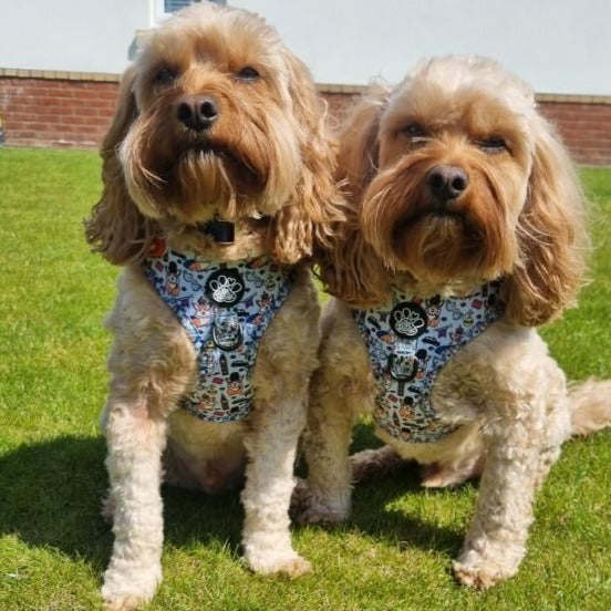 Adjustable Harness - Royal Paws Of London