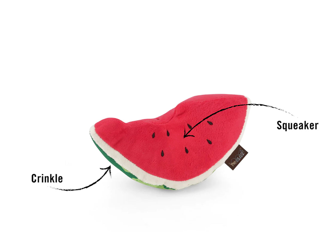P.L.A.Y - Tropical Paradise Wagging Watermelon