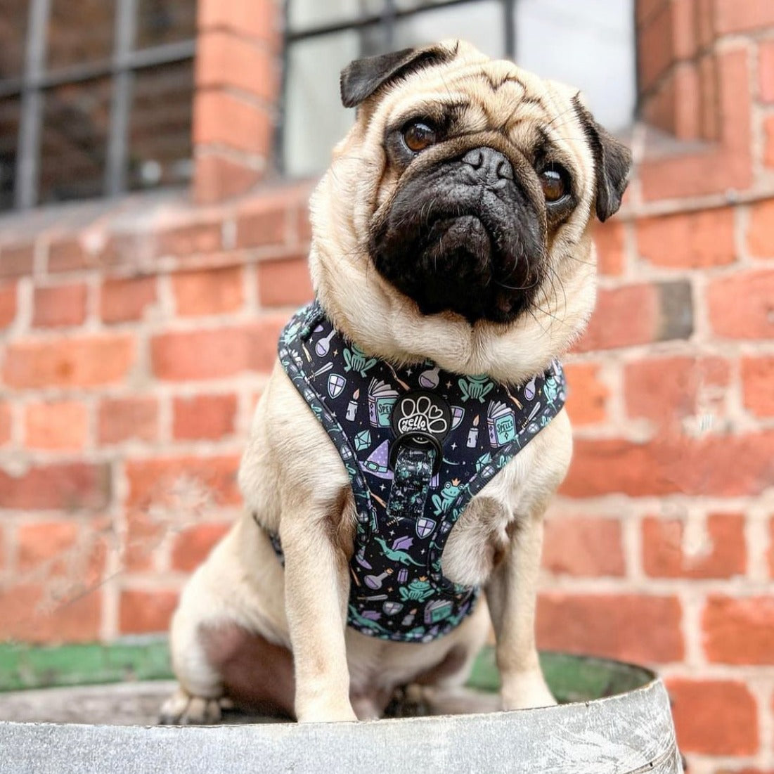 Adjustable Harness - Black Magic
