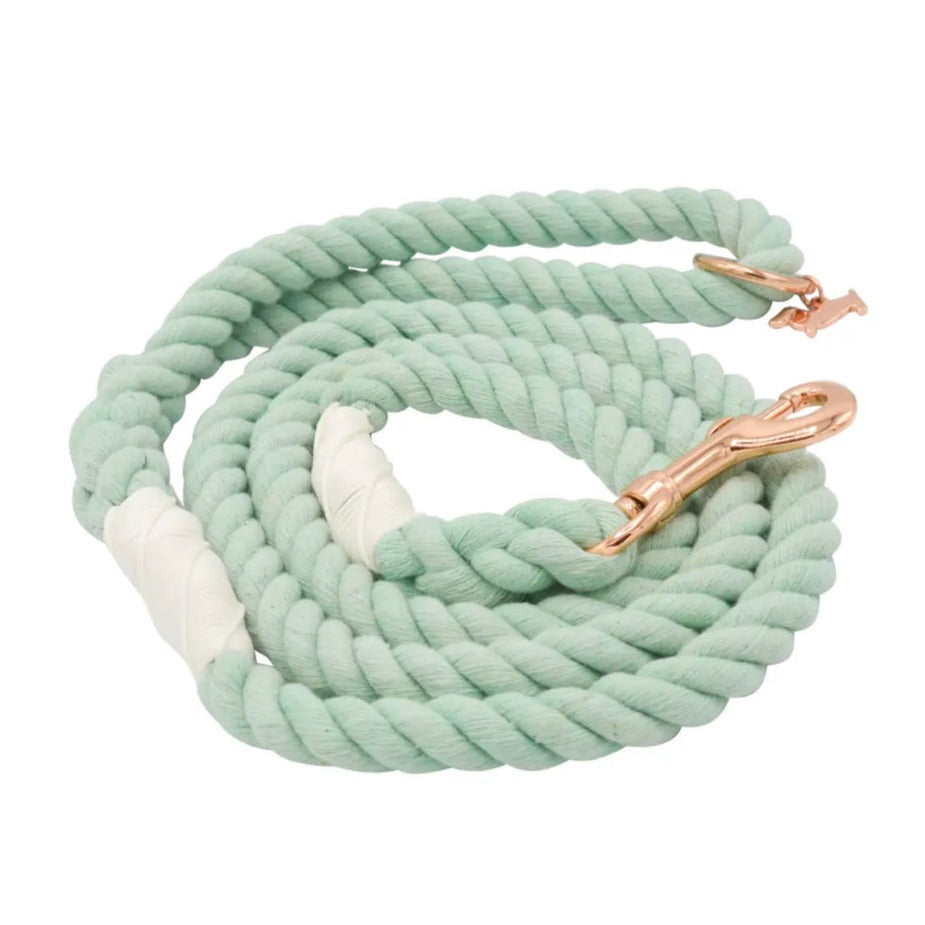 Ombré Rope Lead - Mint To Be