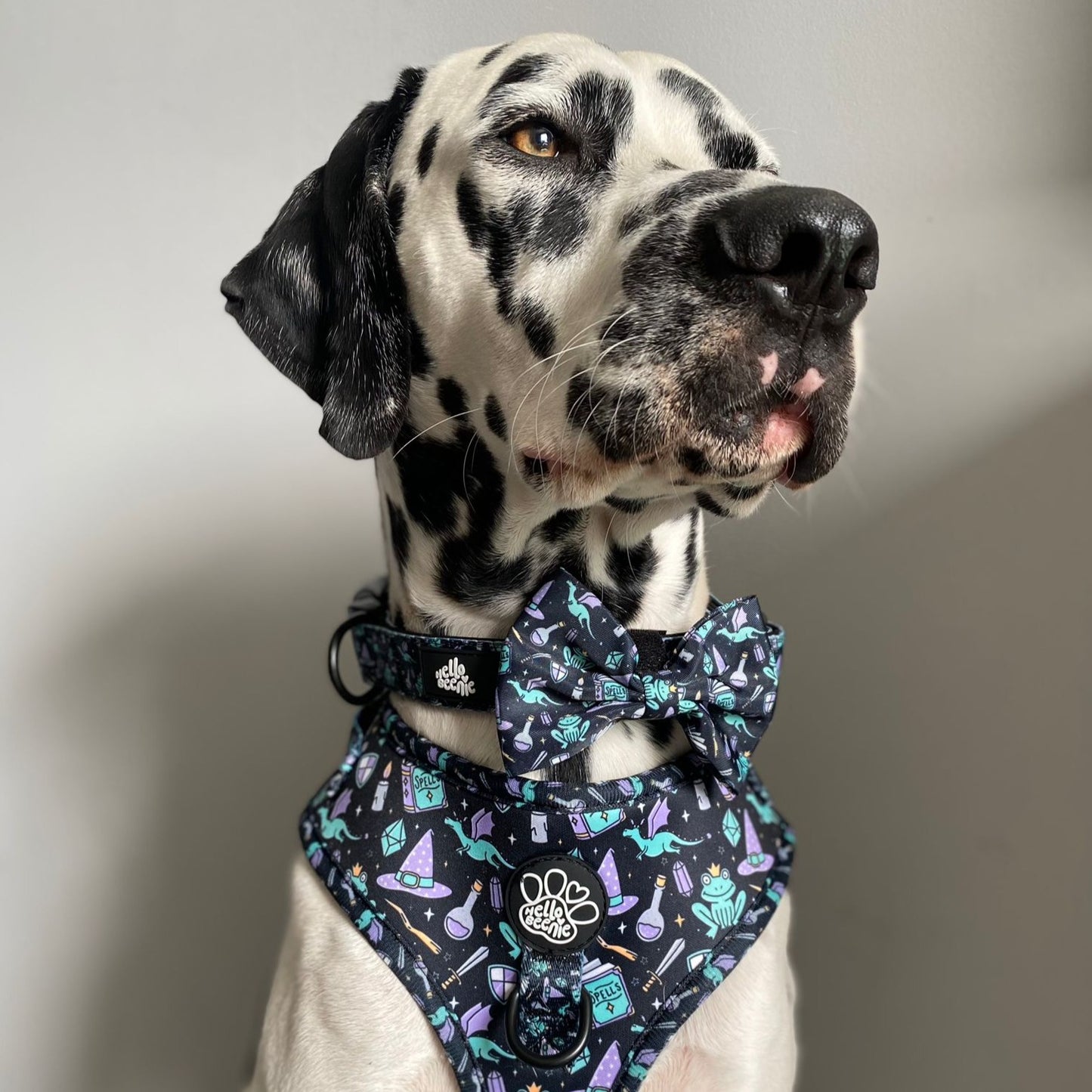 Adjustable Harness - Black Magic
