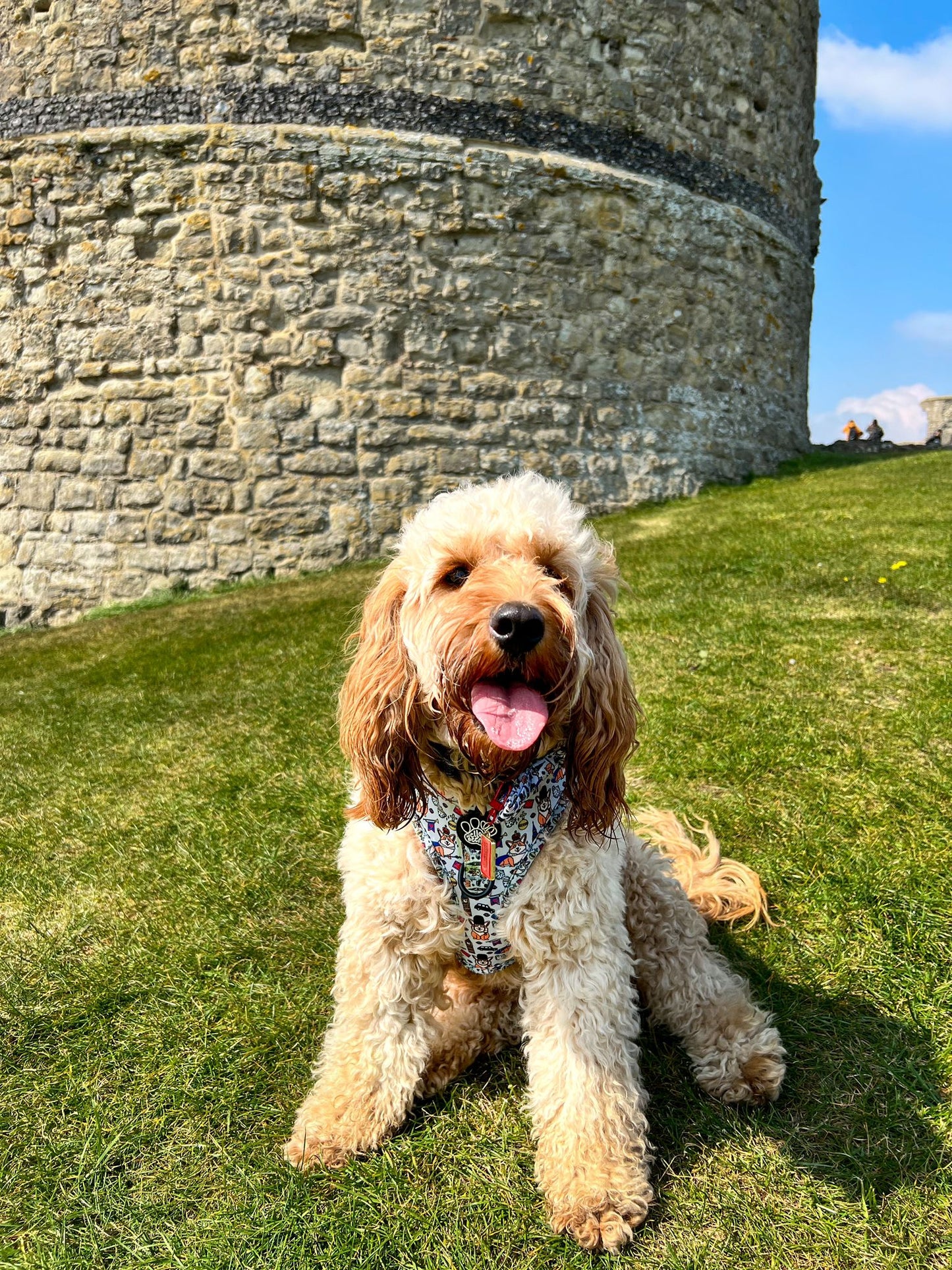 Adjustable Harness - Royal Paws Of London