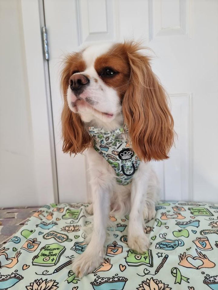 Adjustable Harness - Pawsitivity