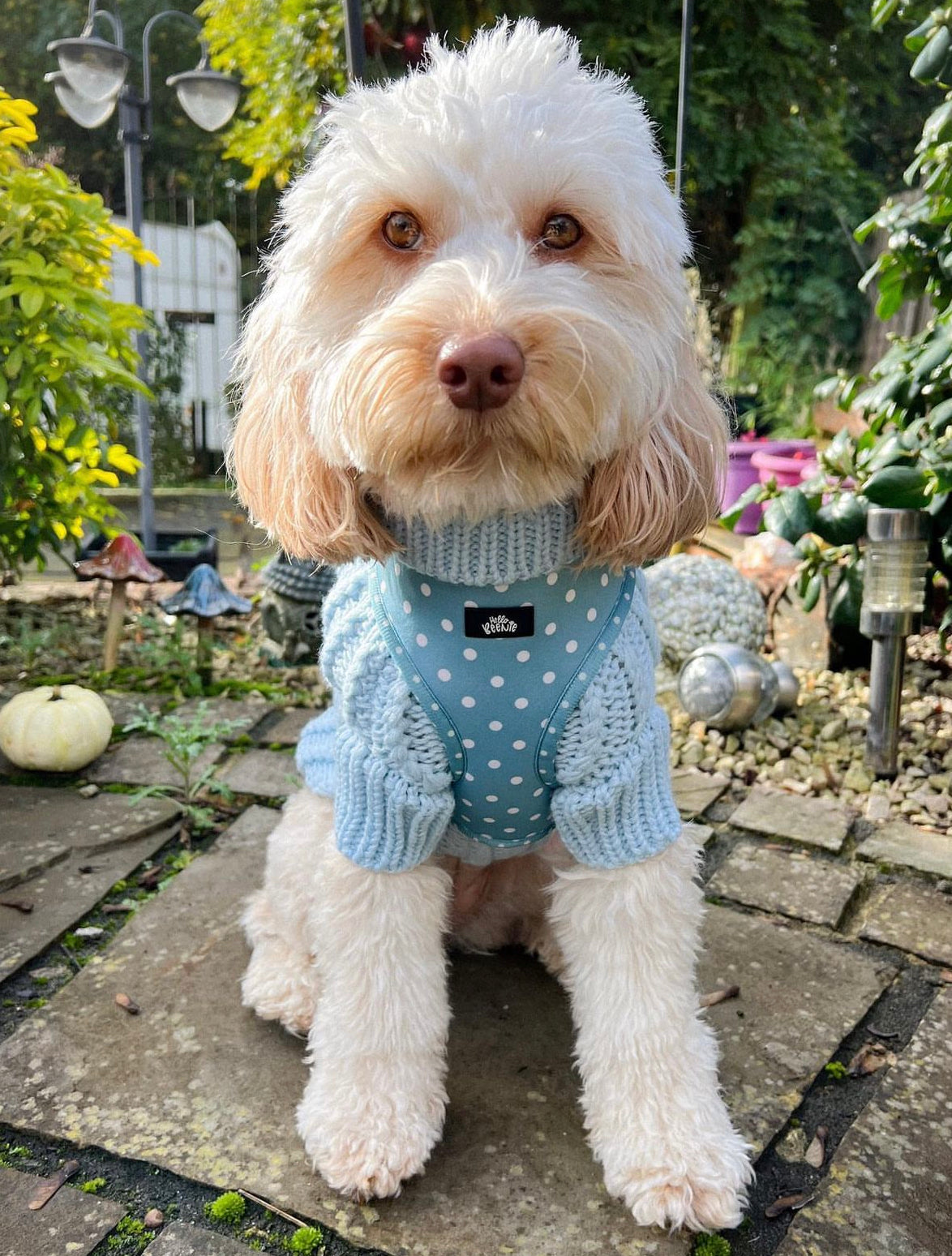 Adjustable Harness - Oh My Polka Dots
