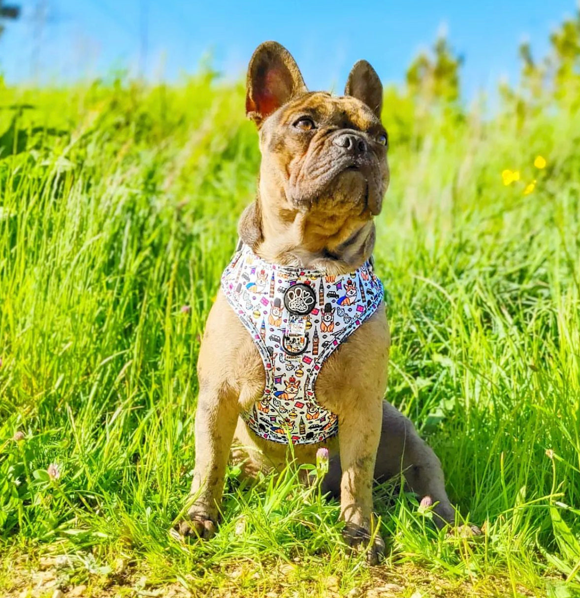Adjustable Harness - Royal Paws Of London