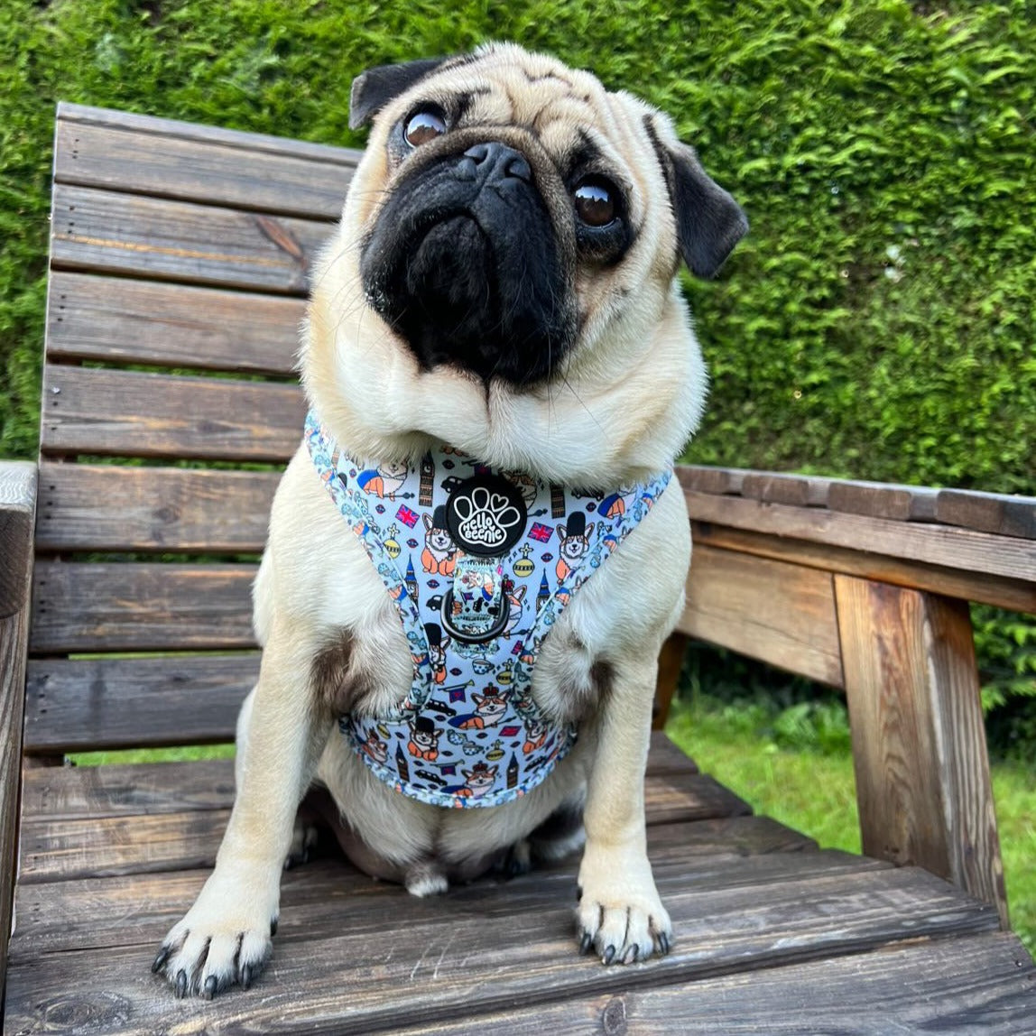 Adjustable Harness - Royal Paws Of London