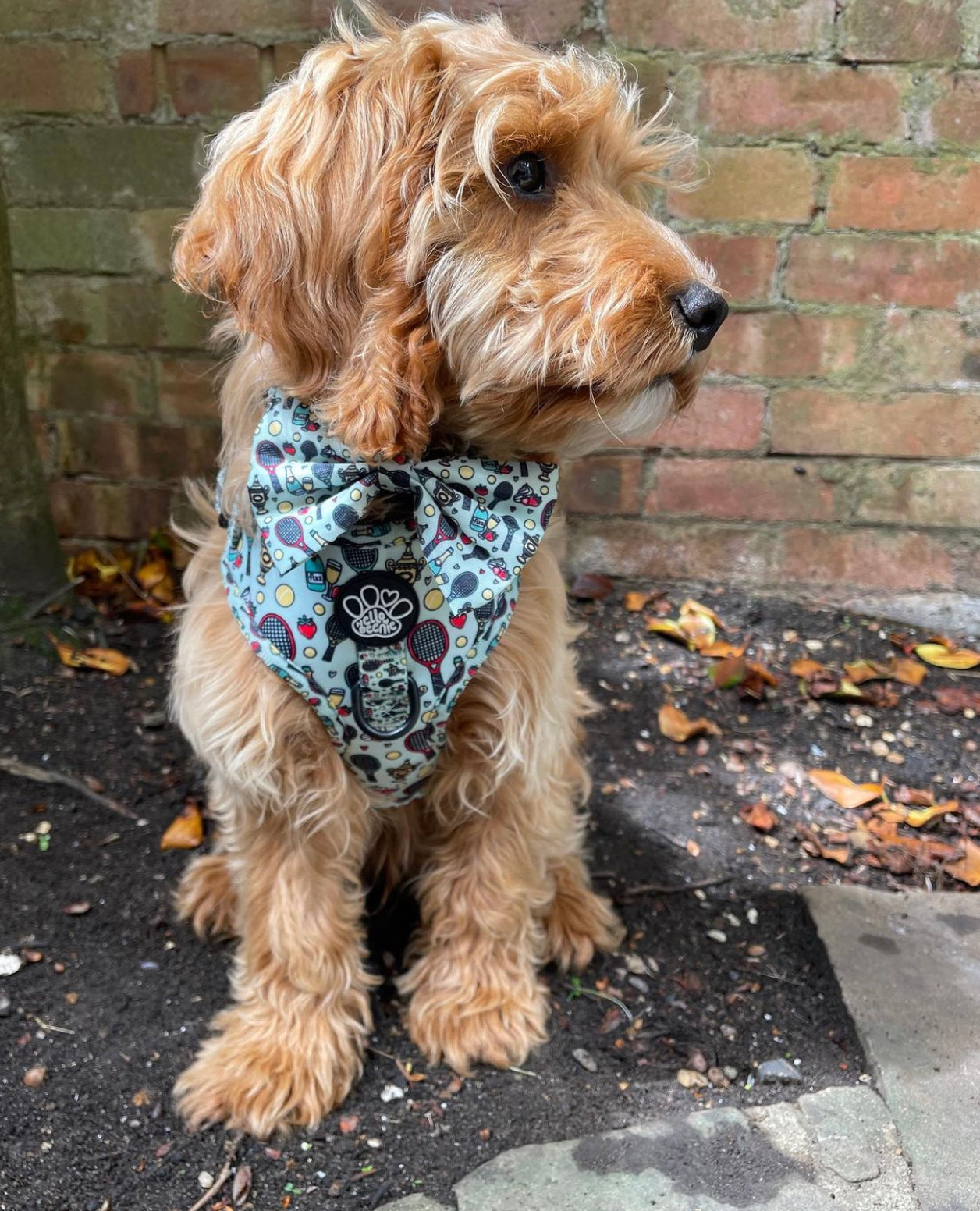 Adjustable Harness - Wimbledog