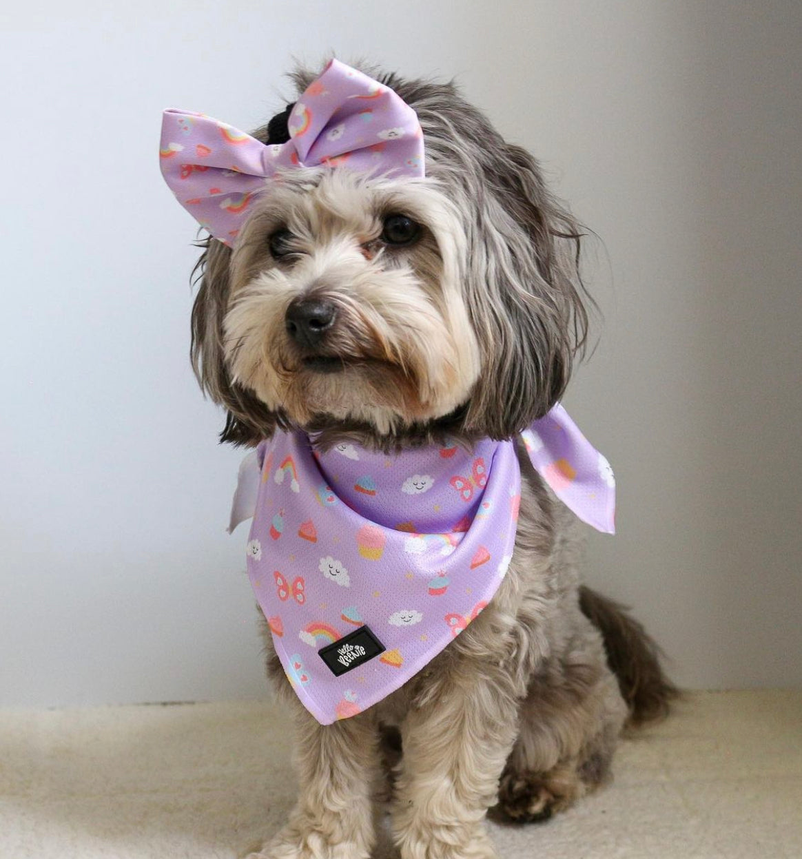 Bandana - Happiness