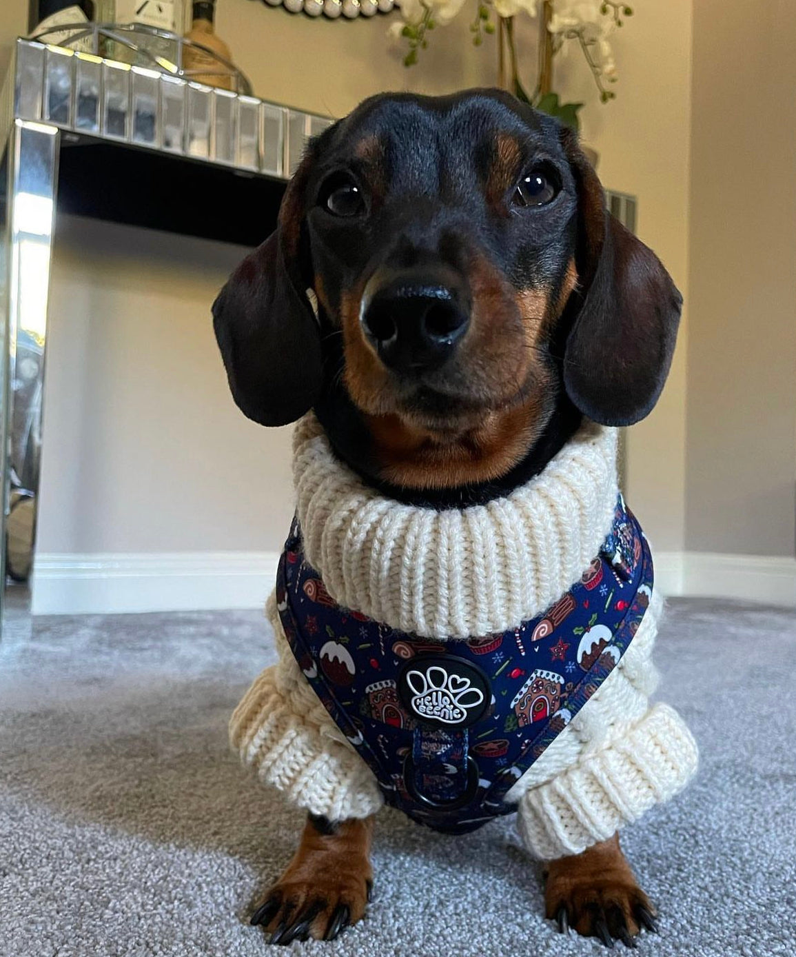 The Cosy Collection - Vanilla Milkshake Knit