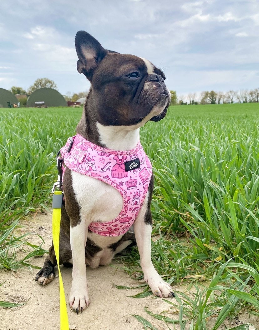 Adjustable Harness - Once Upon A Princess