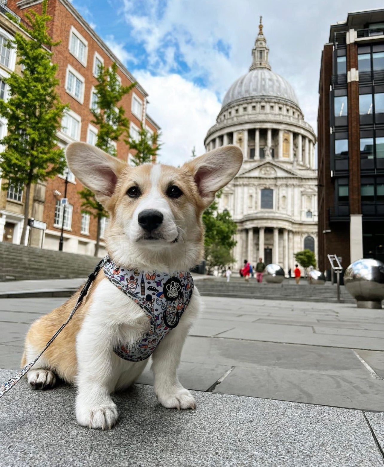 Adjustable Harness - Royal Paws Of London