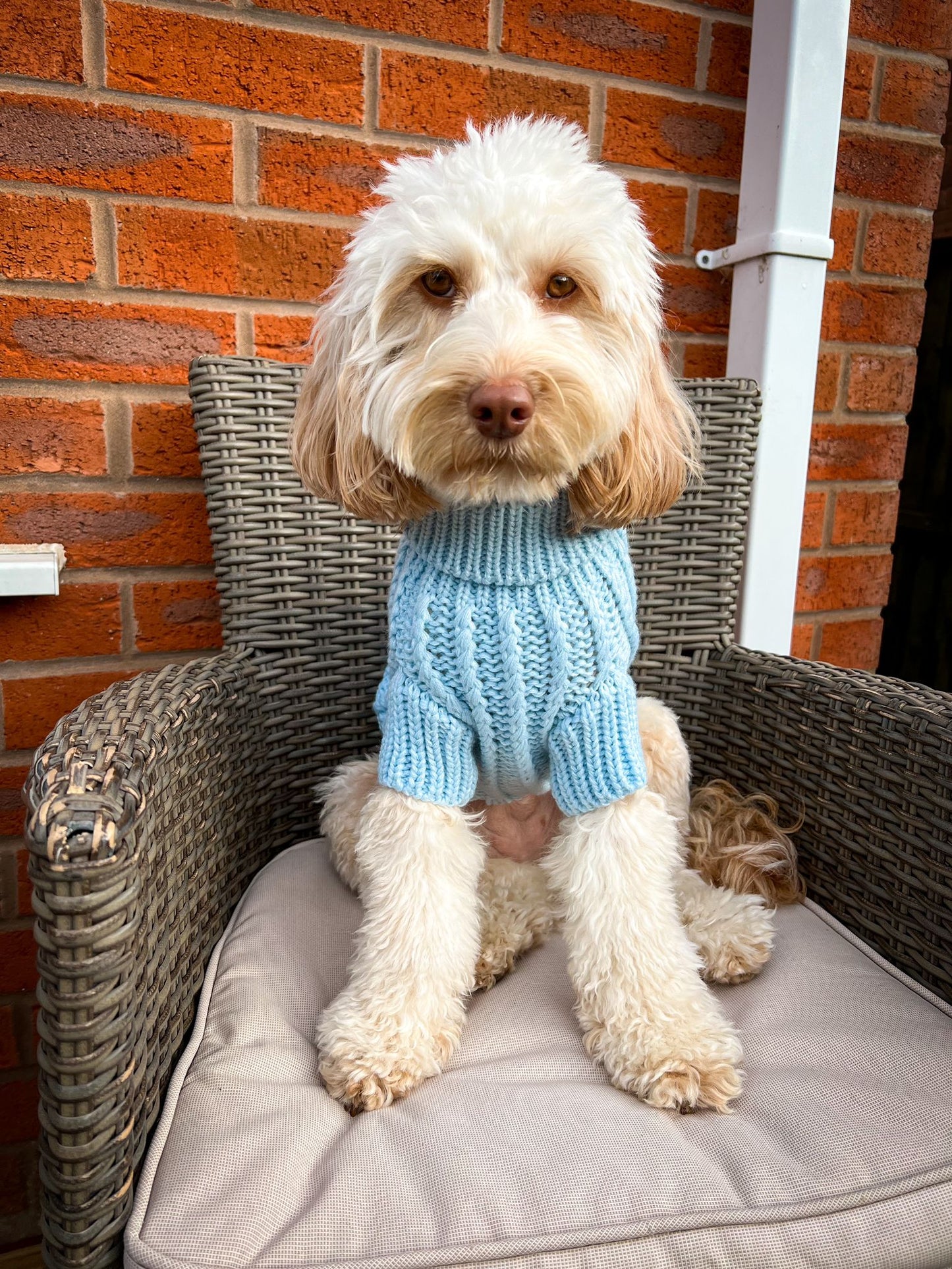 The Cosy Collection - Bubblegum Blue Knit