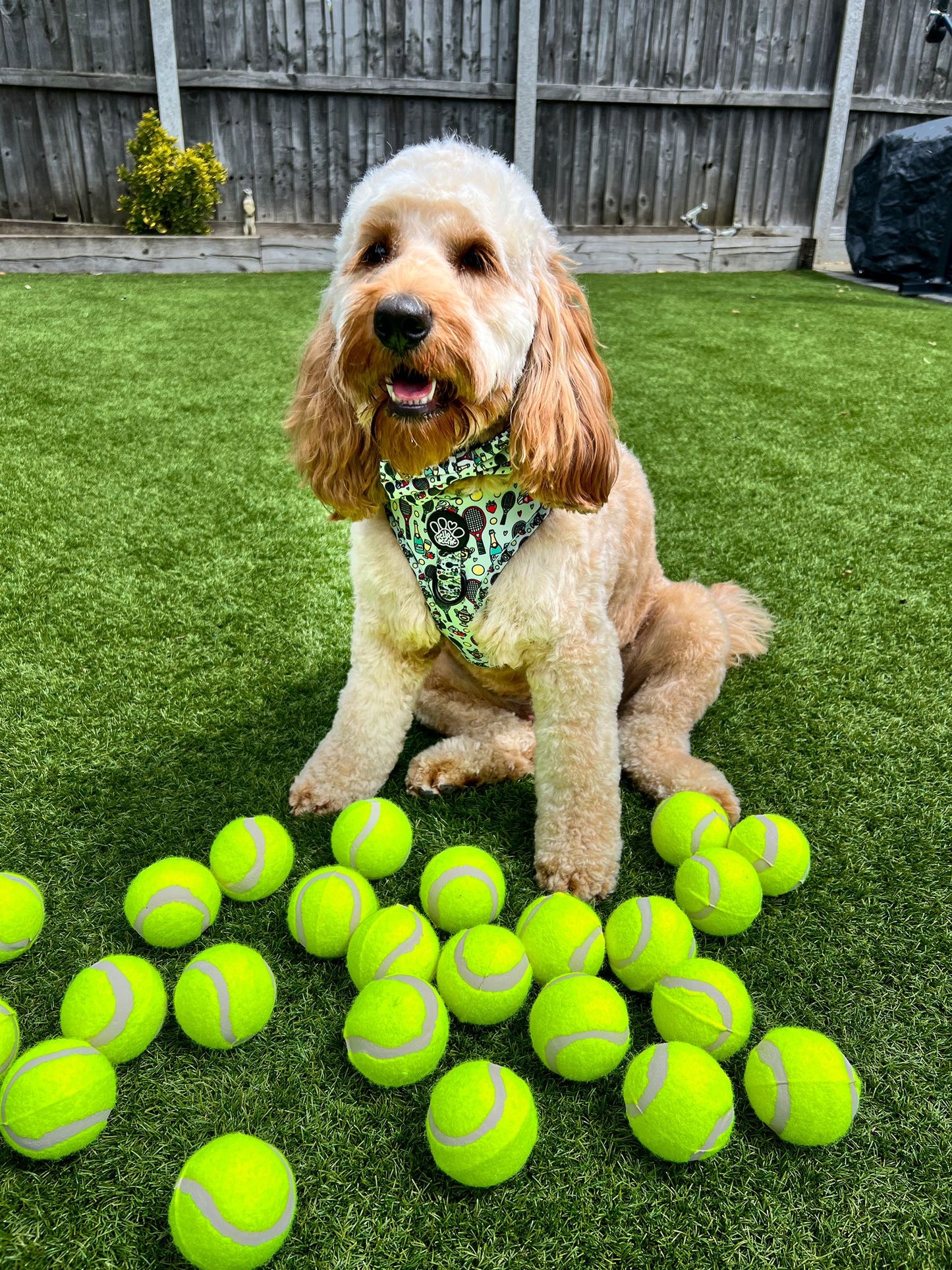 Adjustable Harness - Wimbledog