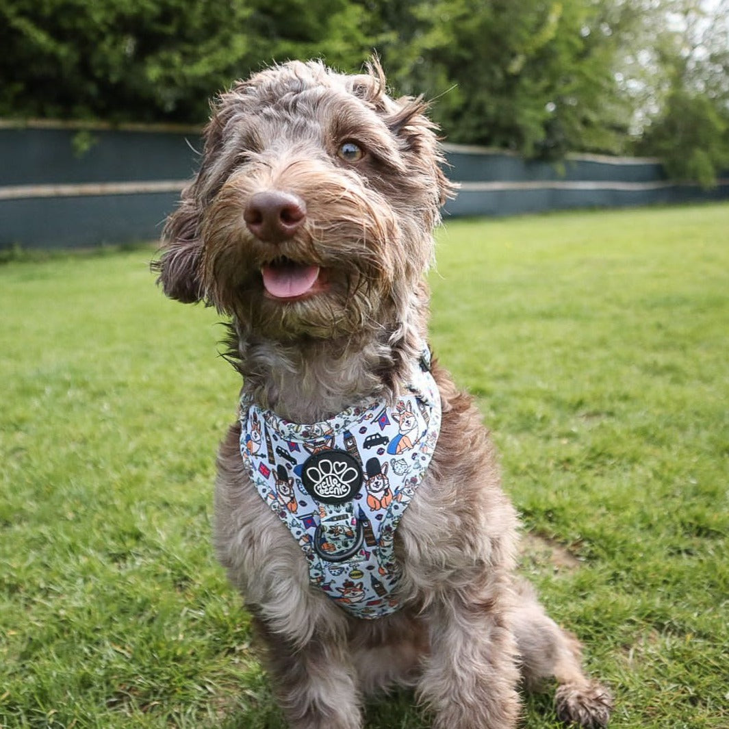 Adjustable Harness - Royal Paws Of London