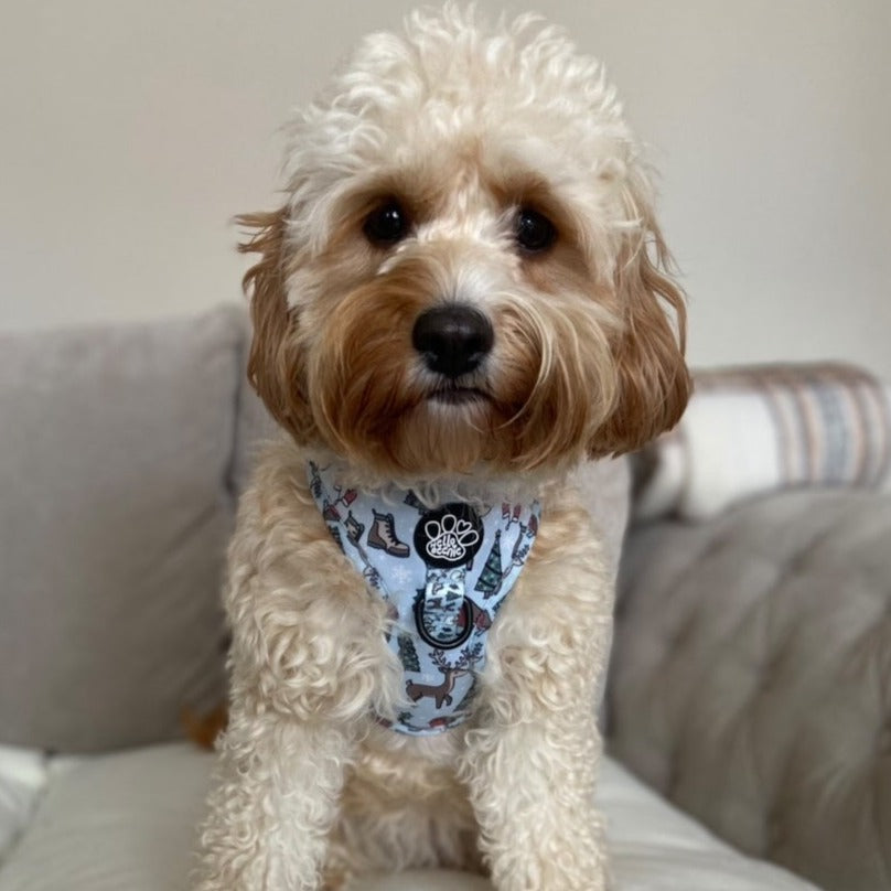 Adjustable Harness - Walkies In A Winter Wonderland